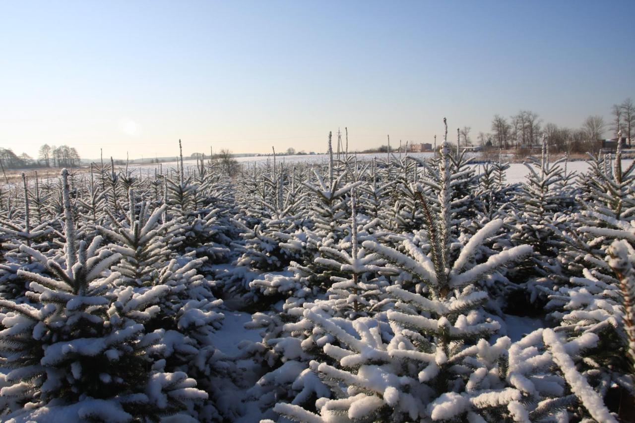 Wygodny Murowany Domek- Nowy Dąbki Exteriör bild