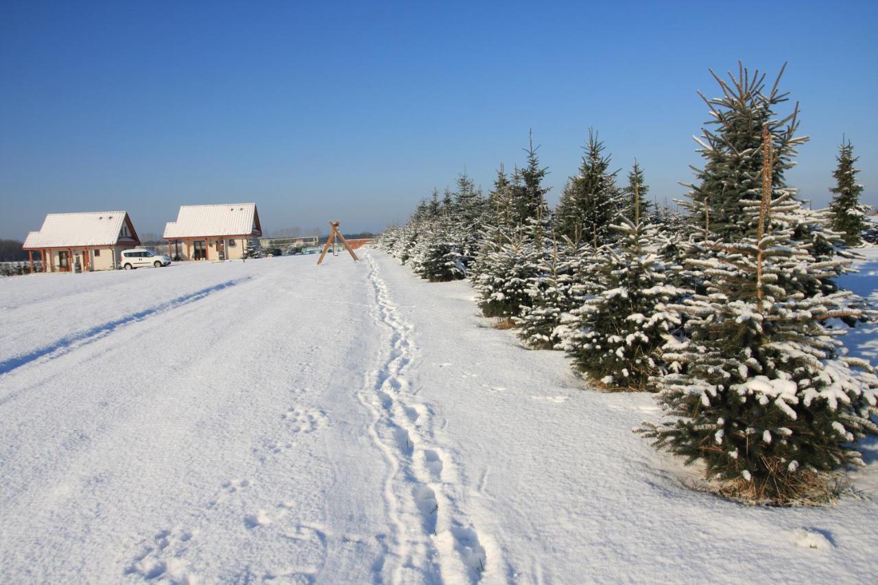 Wygodny Murowany Domek- Nowy Dąbki Exteriör bild