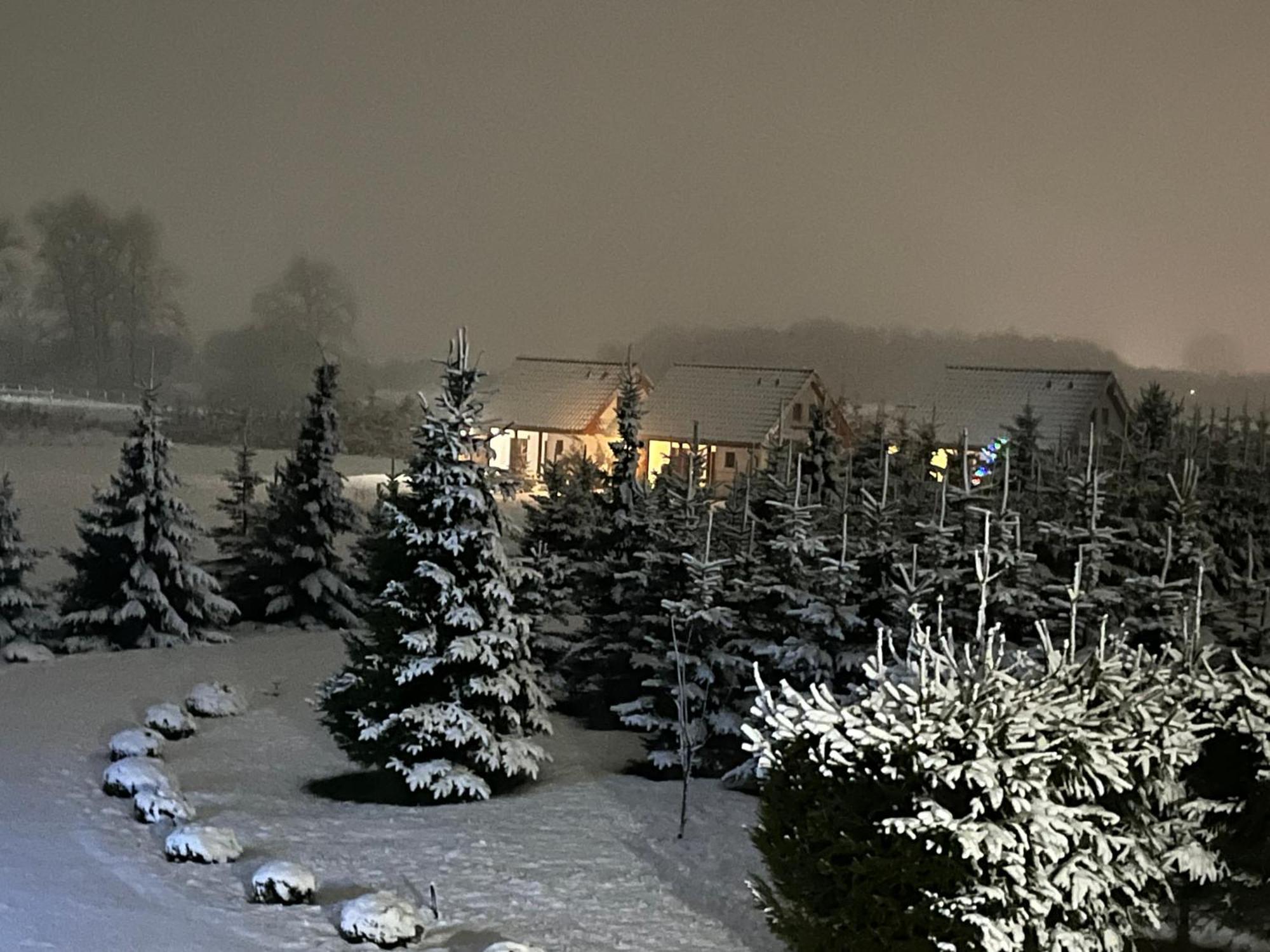 Wygodny Murowany Domek- Nowy Dąbki Exteriör bild