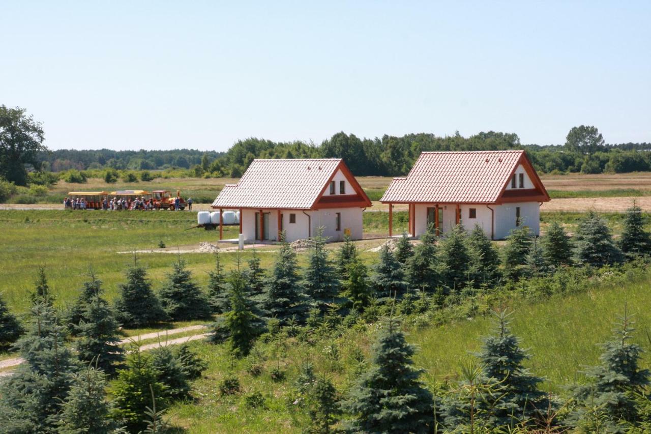Wygodny Murowany Domek- Nowy Dąbki Exteriör bild