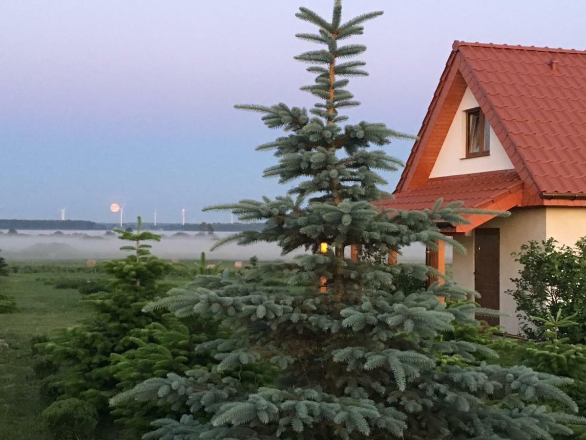 Wygodny Murowany Domek- Nowy Dąbki Exteriör bild
